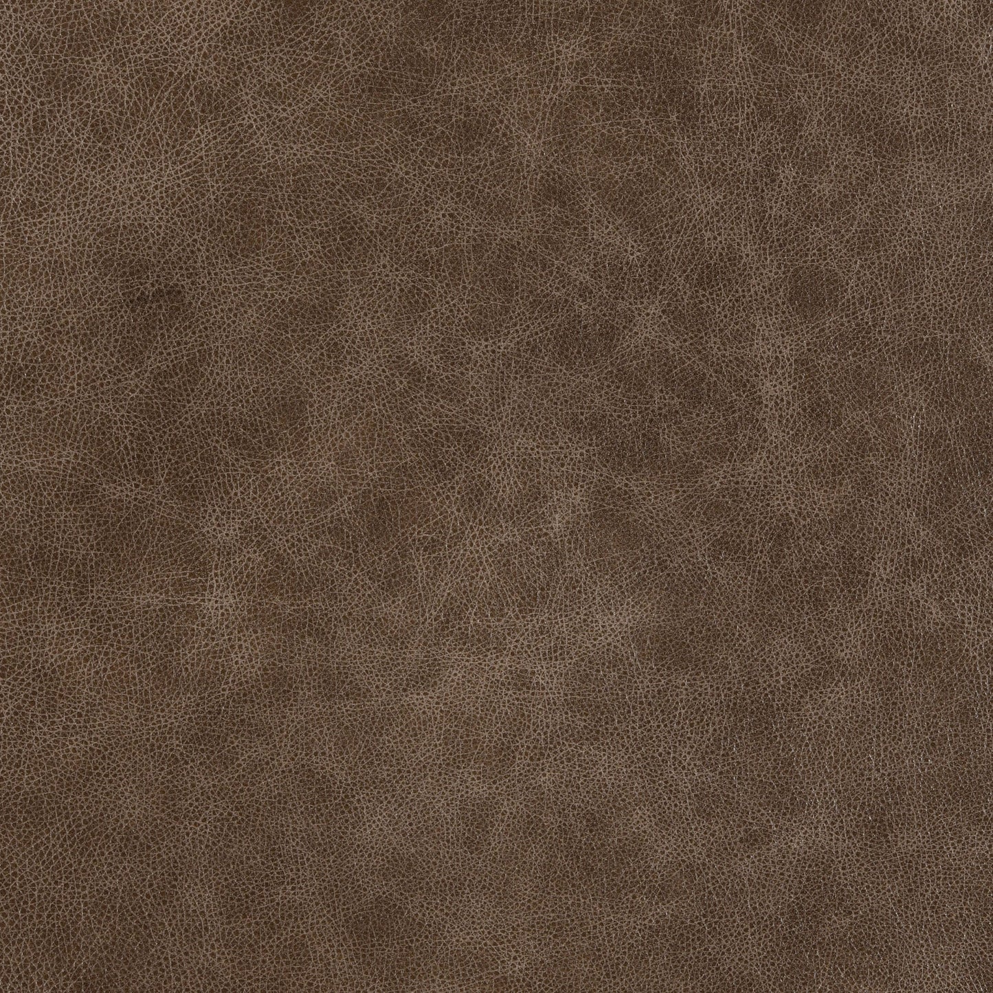 Cuir de fauve et de daim