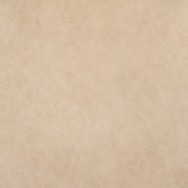 Cuir blanc antique Buckeye