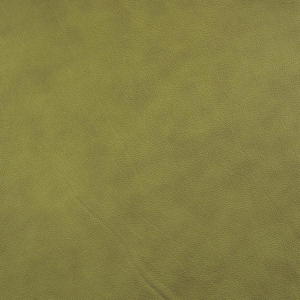 Cuir Leapfrog-Buckeye