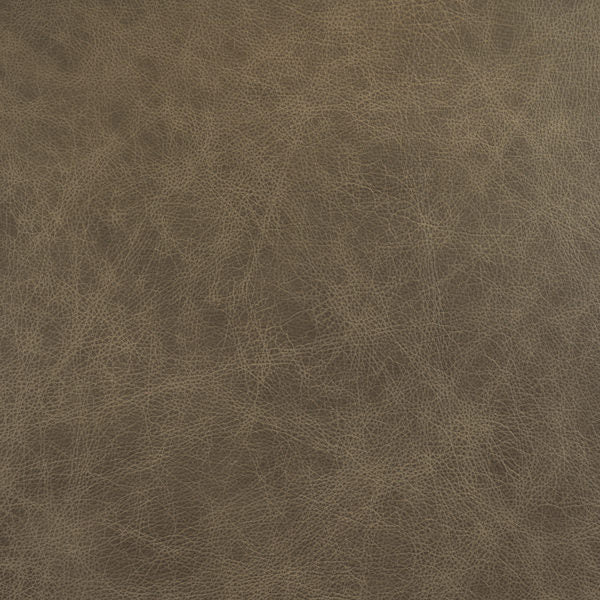 Cuir de champignon-buckeye