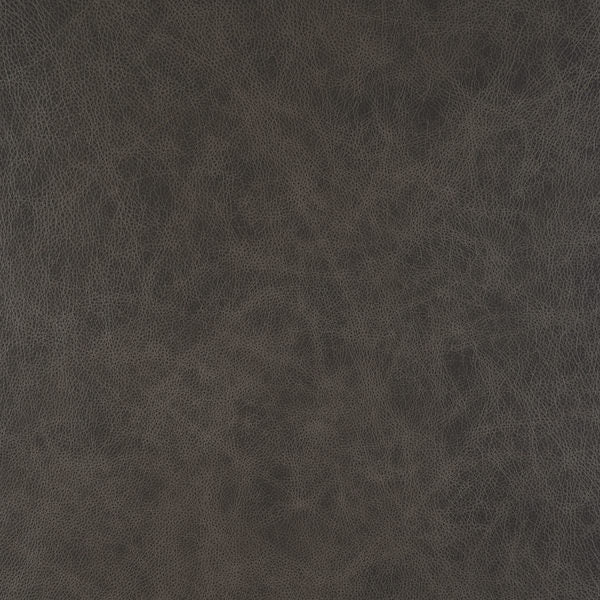 Cuir gris-buckeye de berline