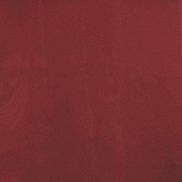 Cuir Fraise-Buckeye