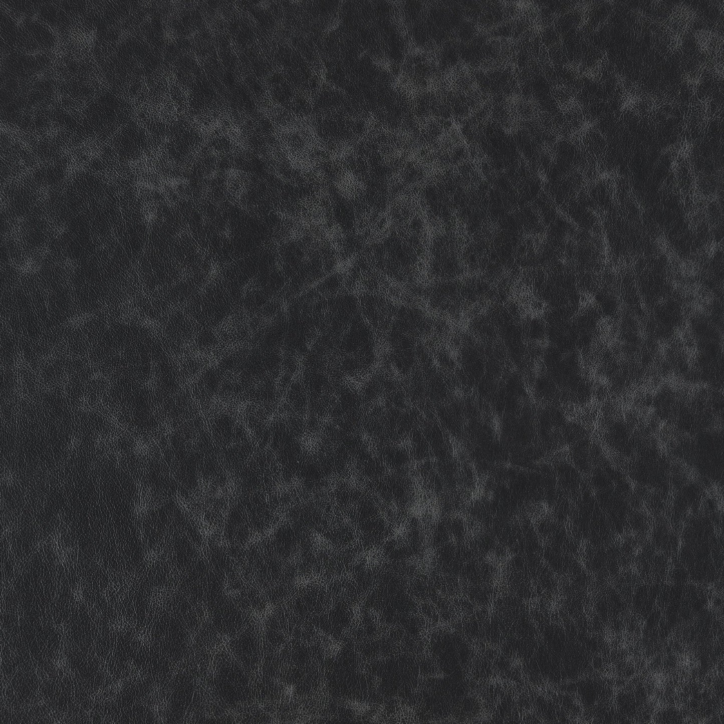 Cuir Eclipse-Buckeye