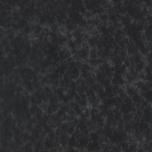 Cuir Eclipse-Buckeye