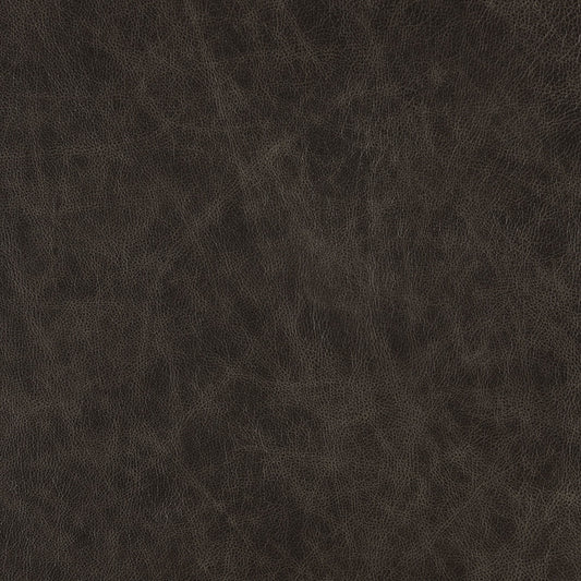 Cuir Buckeye en acier