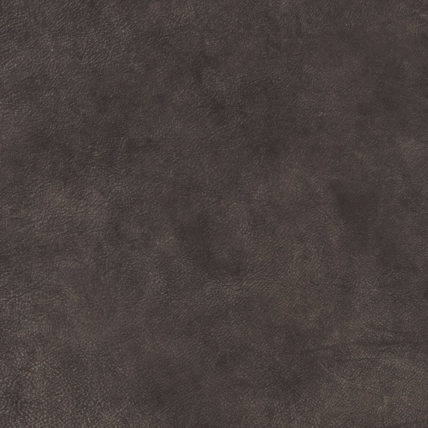 Cuir Cinders-Buckeye
