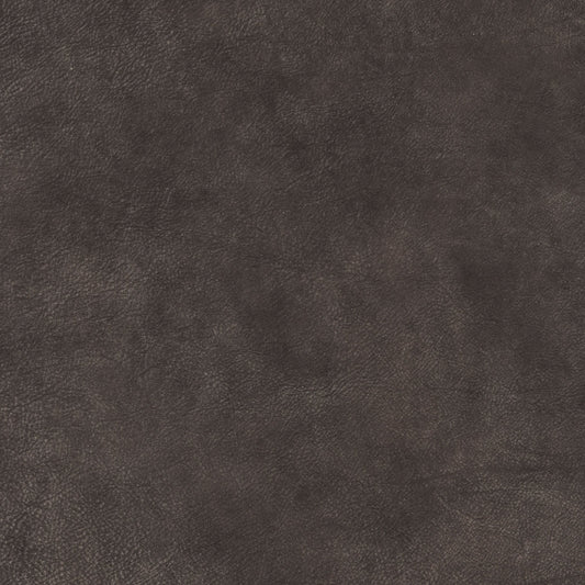 Cuir Cinders-Buckeye