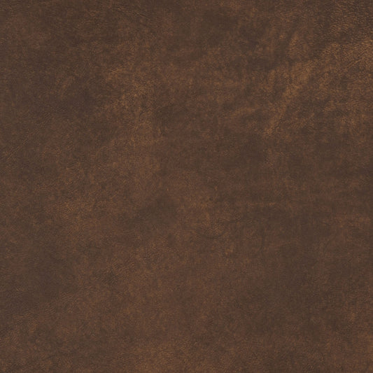 Lariat-Buckeye Cuir