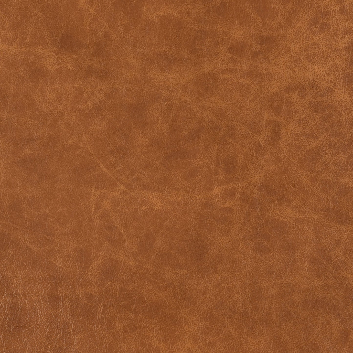 Cuir Bourbon-Buckeye