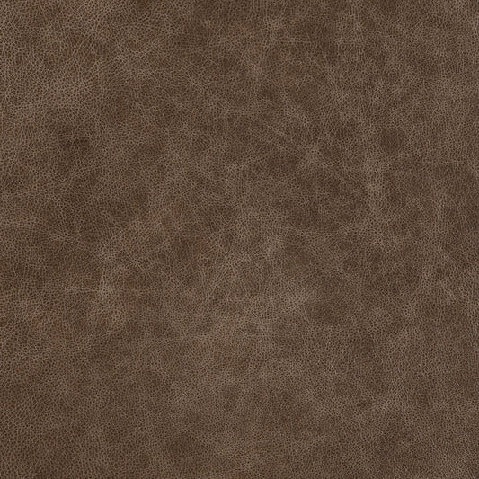 Cuir de fauve et de daim