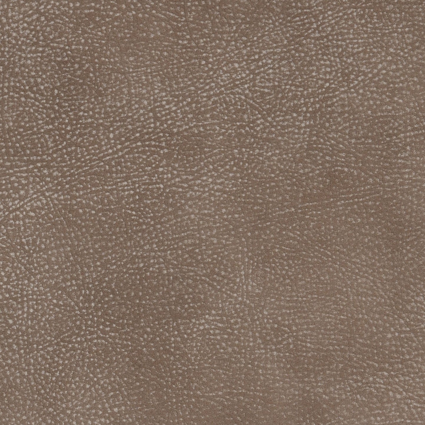 Cuir de dollar de sable et de buckeye