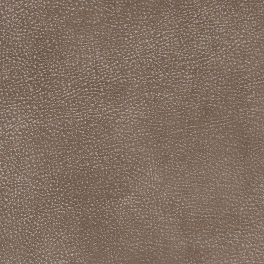 Cuir de dollar de sable et de buckeye