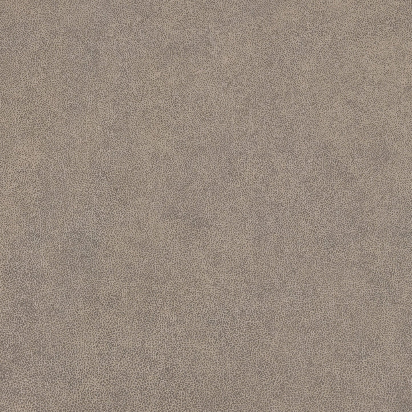 Cuir de coquillage et de buckeye