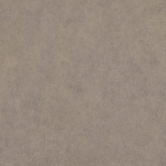 Cuir de coquillage et de buckeye
