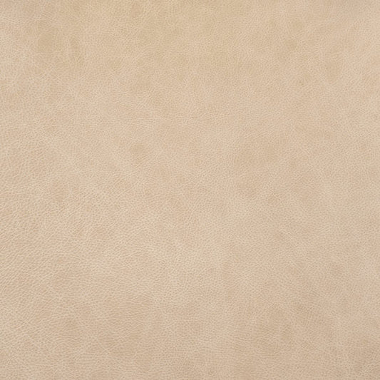 Cuir blanc antique Buckeye