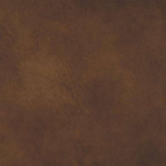 Cuir caramel-buckeye