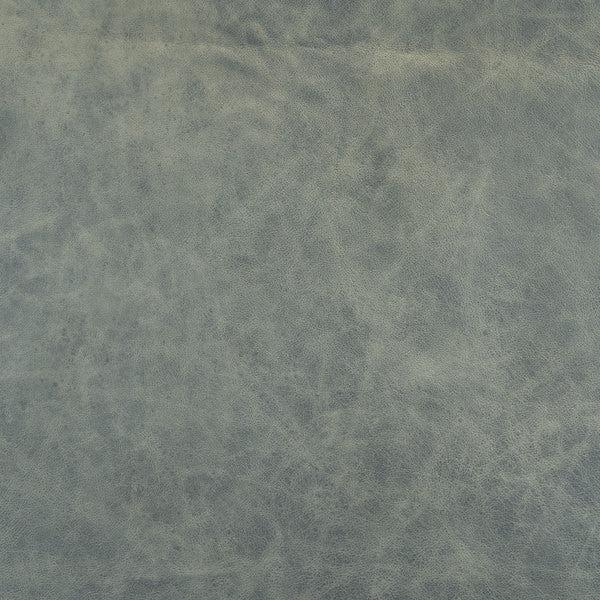 Nuages de cuir de buckeye bleu