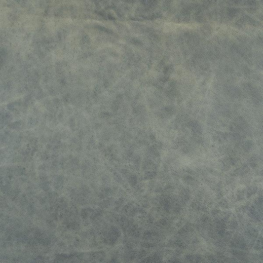 Nuages de cuir de buckeye bleu