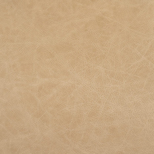 Cuir crémeux cappuccino-buckeye