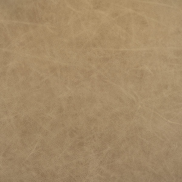 Cuir de racine de gingembre et de buckeye