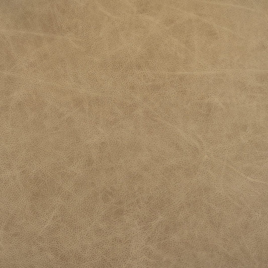 Cuir de racine de gingembre et de buckeye
