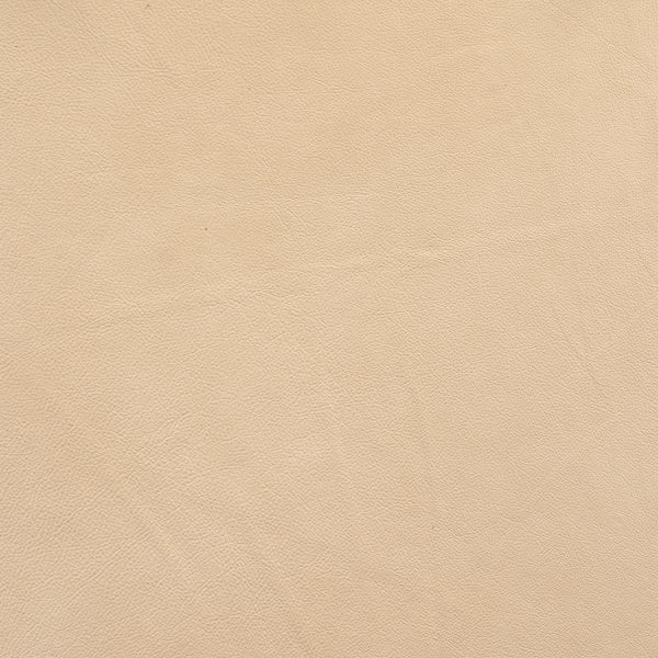 Cuir Glacier White-Buckeye