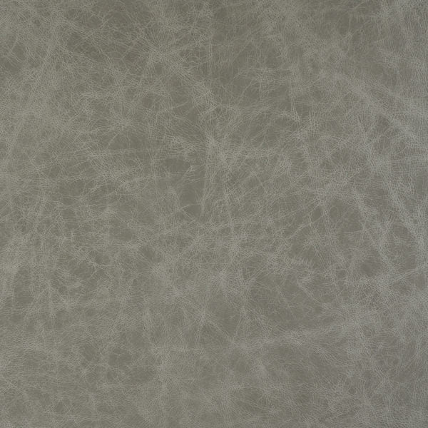 Cuir gris buckeye paresseux