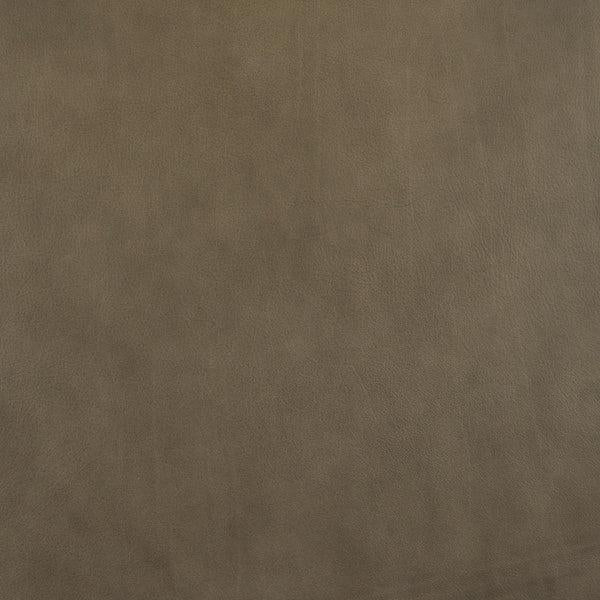 Cuir Moka-Buckeye
