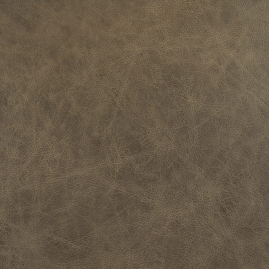 Cuir de champignon-buckeye