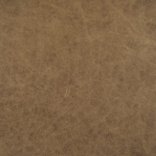 Cuir de noix de muscade et de marronnier