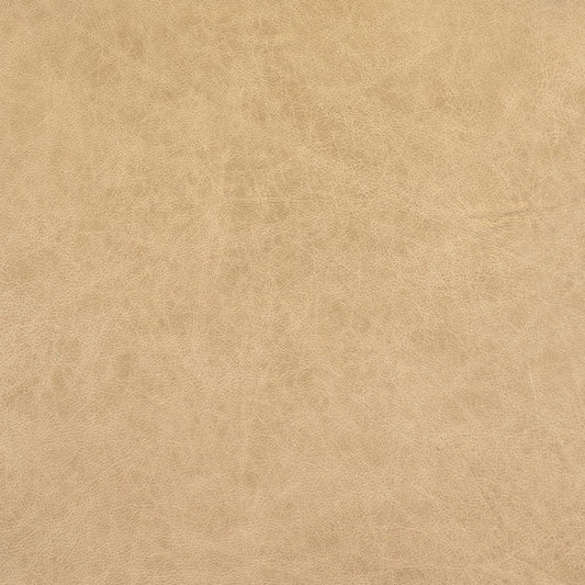 Cuir Oyster-Buckeye