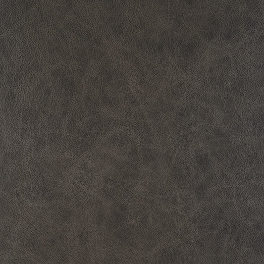 Cuir gris-buckeye de berline