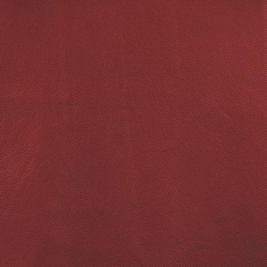 Cuir Fraise-Buckeye