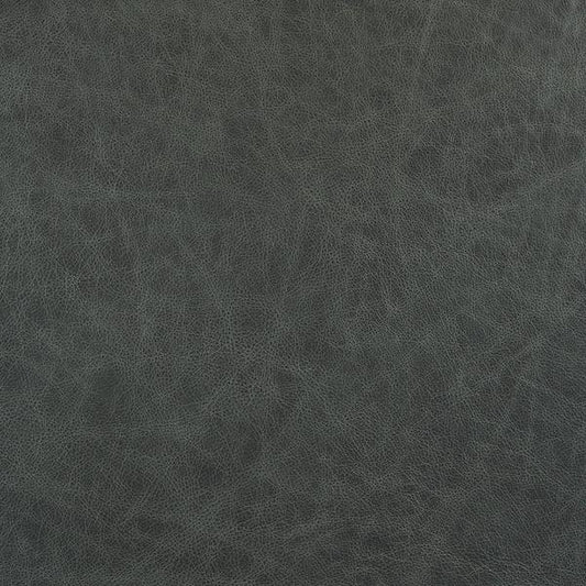 Cuir bleu sarcelle et buckeye