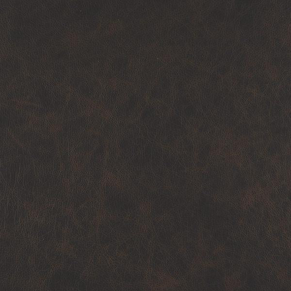 Cuir Texas-Buckeye