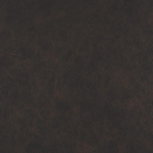 Cuir Texas-Buckeye